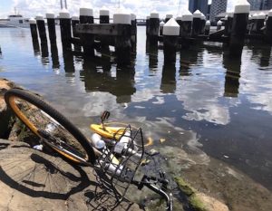 Ocean-CleanX-Obike-removal